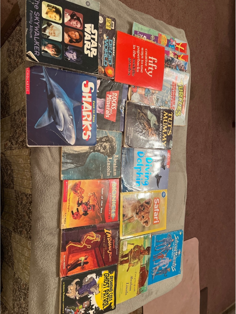Lot of 15 Assorted Children's and Educational Books